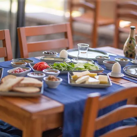 Hotel Ezer