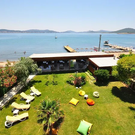 Ezer 2* Ayvalı